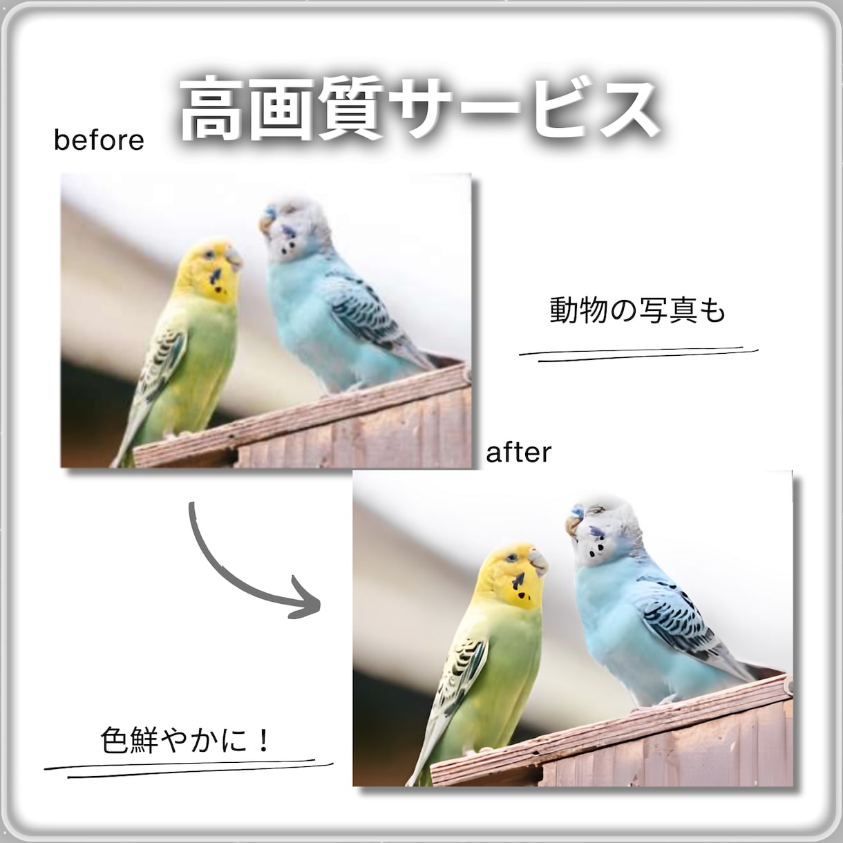 その写真、高画質にします 画像や写真を綺麗に、高画質にしたい方へ イメージ9