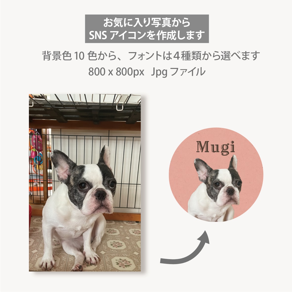 ペット写真SNSアイコンをセミオーダーで制作します 色とフォントが選べる!うちの子写真で現役デザイナーが制作 イメージ3