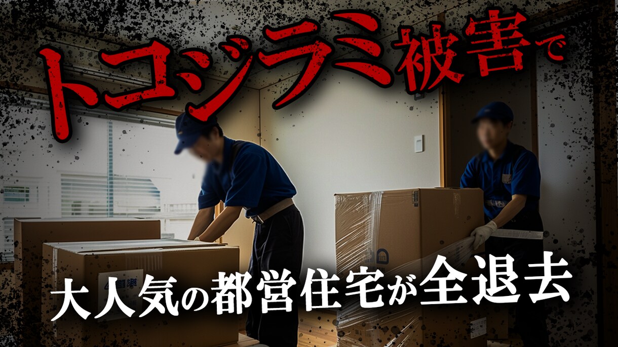 Youtubeサムネイル作成します 再生回数UPにつながるデザイン！ イメージ6