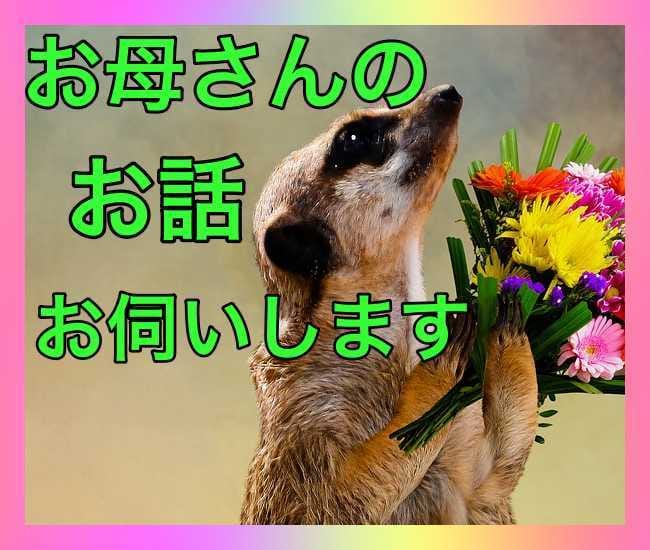 あなたのお母さんのお話お伺いします 〜人生、恋愛が上手くいかないと思い悩んでいるあなたへ〜 イメージ1