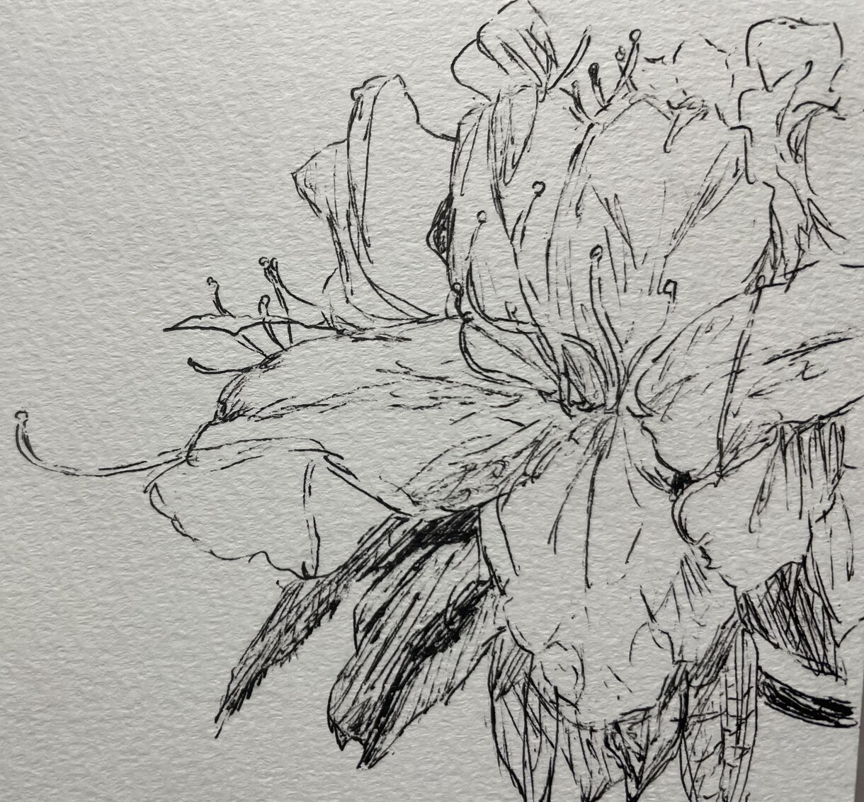 お気に入りアイテムをあなただけの一点物にします あたたかくやわらかい線でボールペンスケッチします。 イメージ1