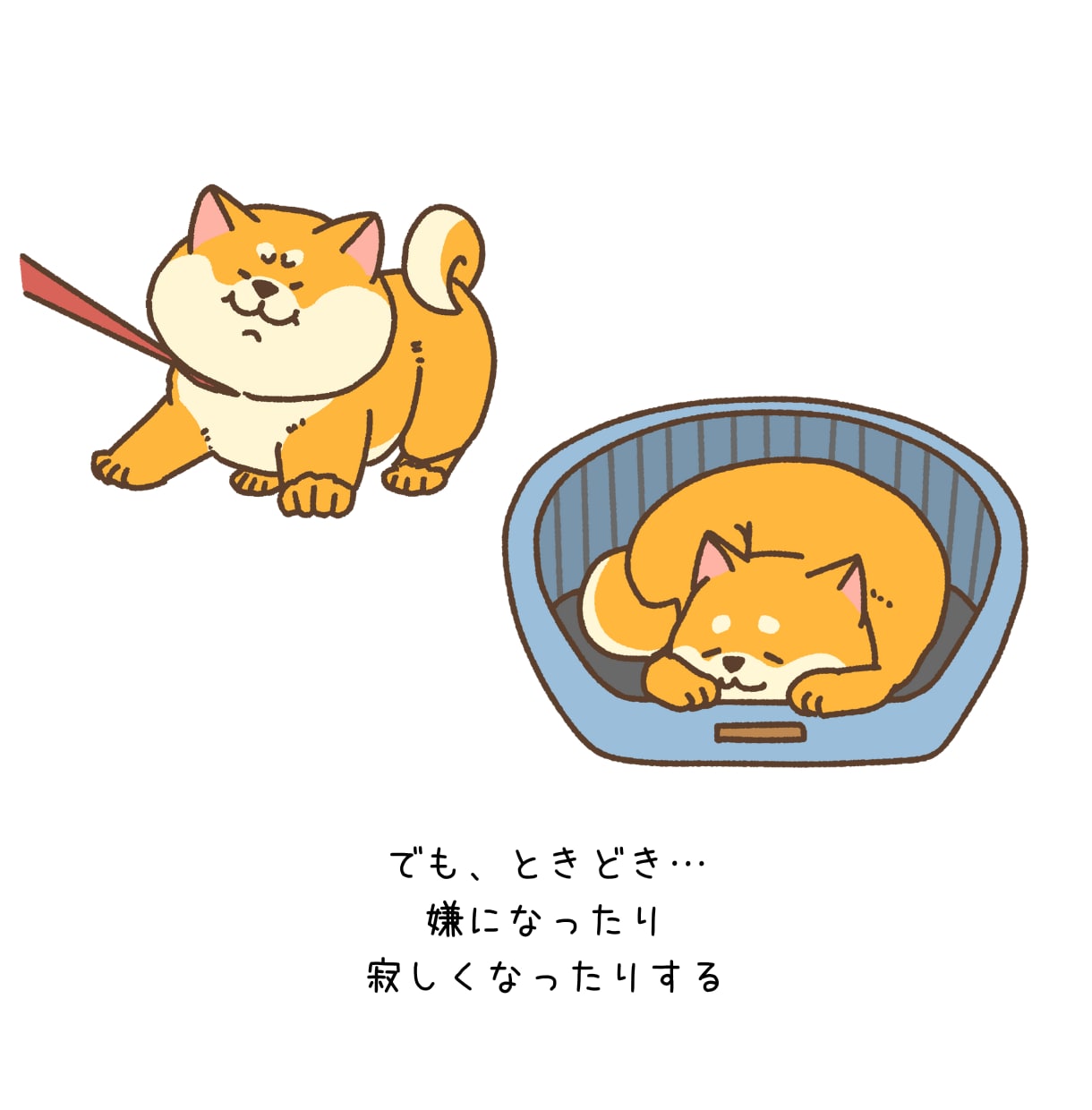 セルフメンタルケア習慣化！お茶会気分で話せます やさしい「たぬき」が、不思議な癒し空間で「あなた」と戯れる。 イメージ9