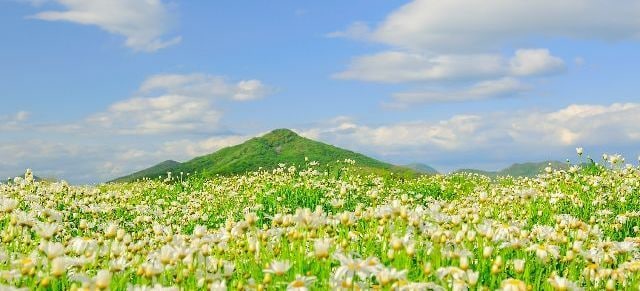 ストレスが軽くなるサポート。心のケアを手助けします マインドフルネスで自分らしく生きていく術を身につけましょう！ イメージ5
