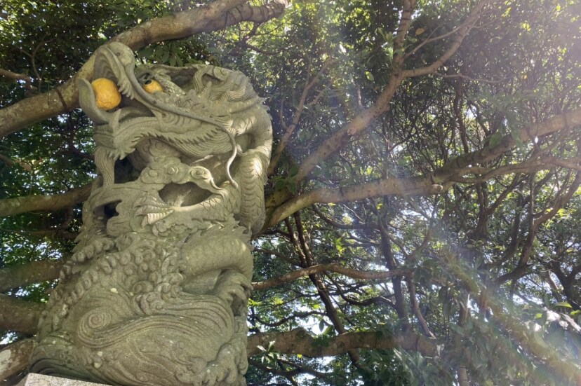 龍体文字で名前の意味と魂の目的・天命を読み解きます 神様が創った字でエネルギーが分かります【贈り物にもおすすめ】 イメージ1
