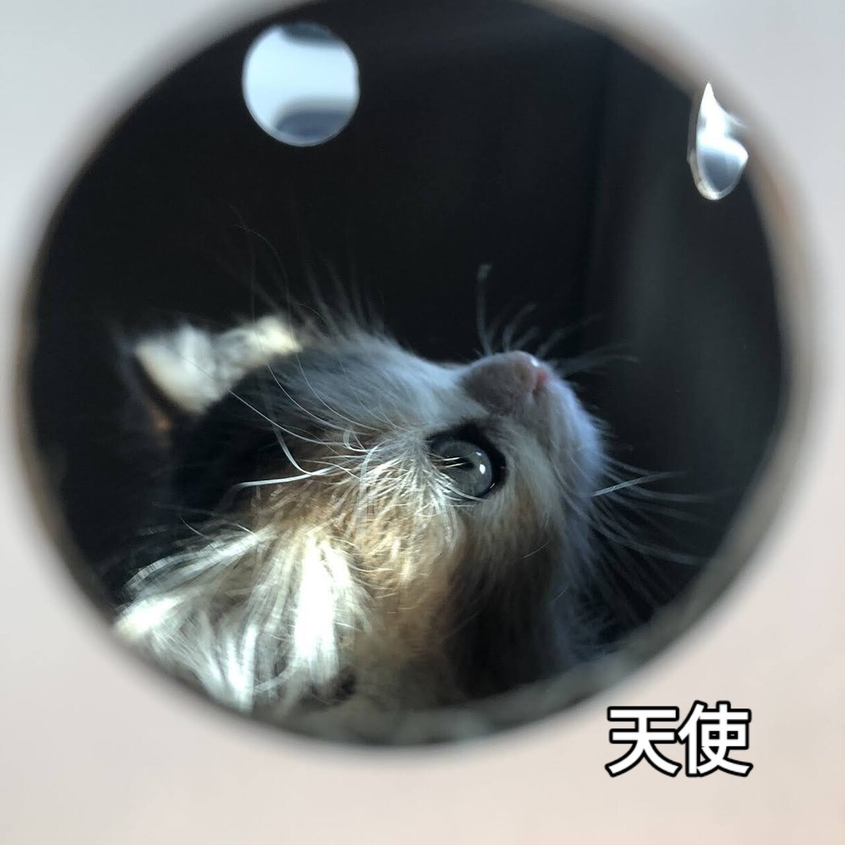 心におもっていることをひたすらきいてます 電話占いが高くて話し足りない人今が悩んできる人 イメージ1