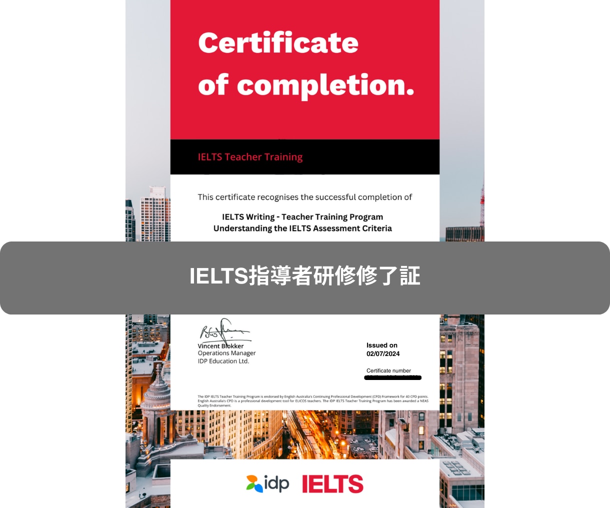 IELTS8.0講師がライティングを添削します IELTSライティングTask1&2の添削サポート イメージ2