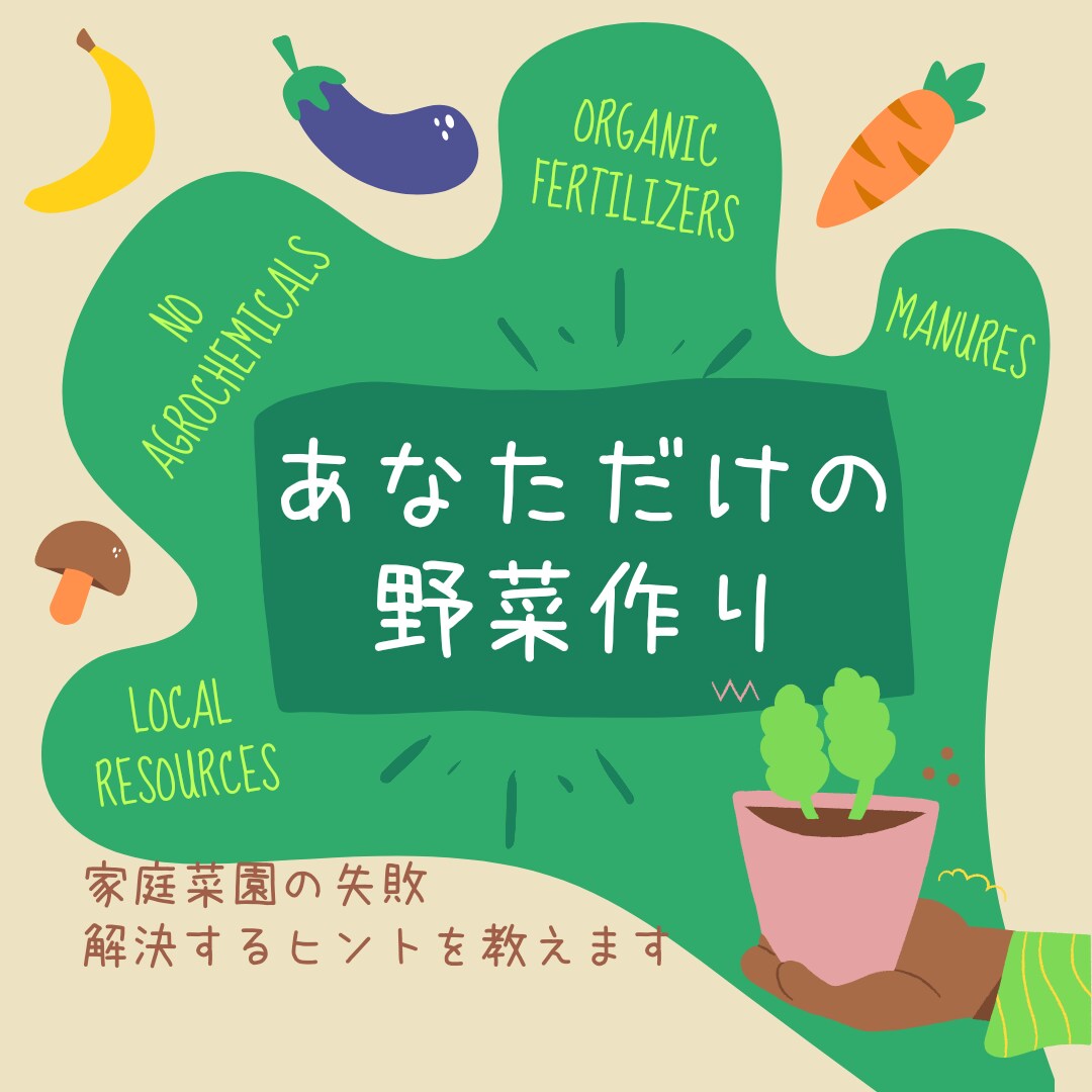 家庭菜園はお任せ！お悩み解決します 土作り、プランター、ベランダ、日陰、様々な話題に丁寧に対応！ イメージ10