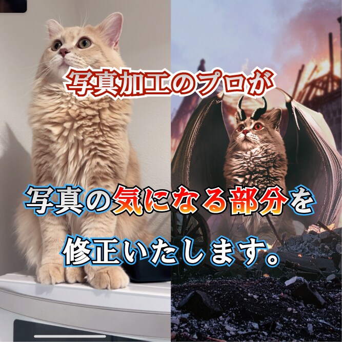 写真の気になる部分直します 思い出の一枚なのにもったいない、それ、解決します！ イメージ1