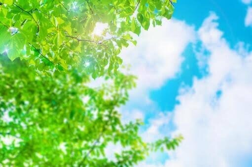 心に残っている【夢】分析いたします なんとなく心に残るような夢、怖かった夢、分析いたします。 イメージ1