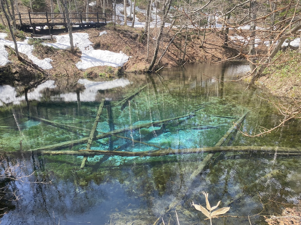 北海道旅行の相談に乗ります 北海道が大好き過ぎて移住した経験を活かして相談に乗ります。 イメージ3