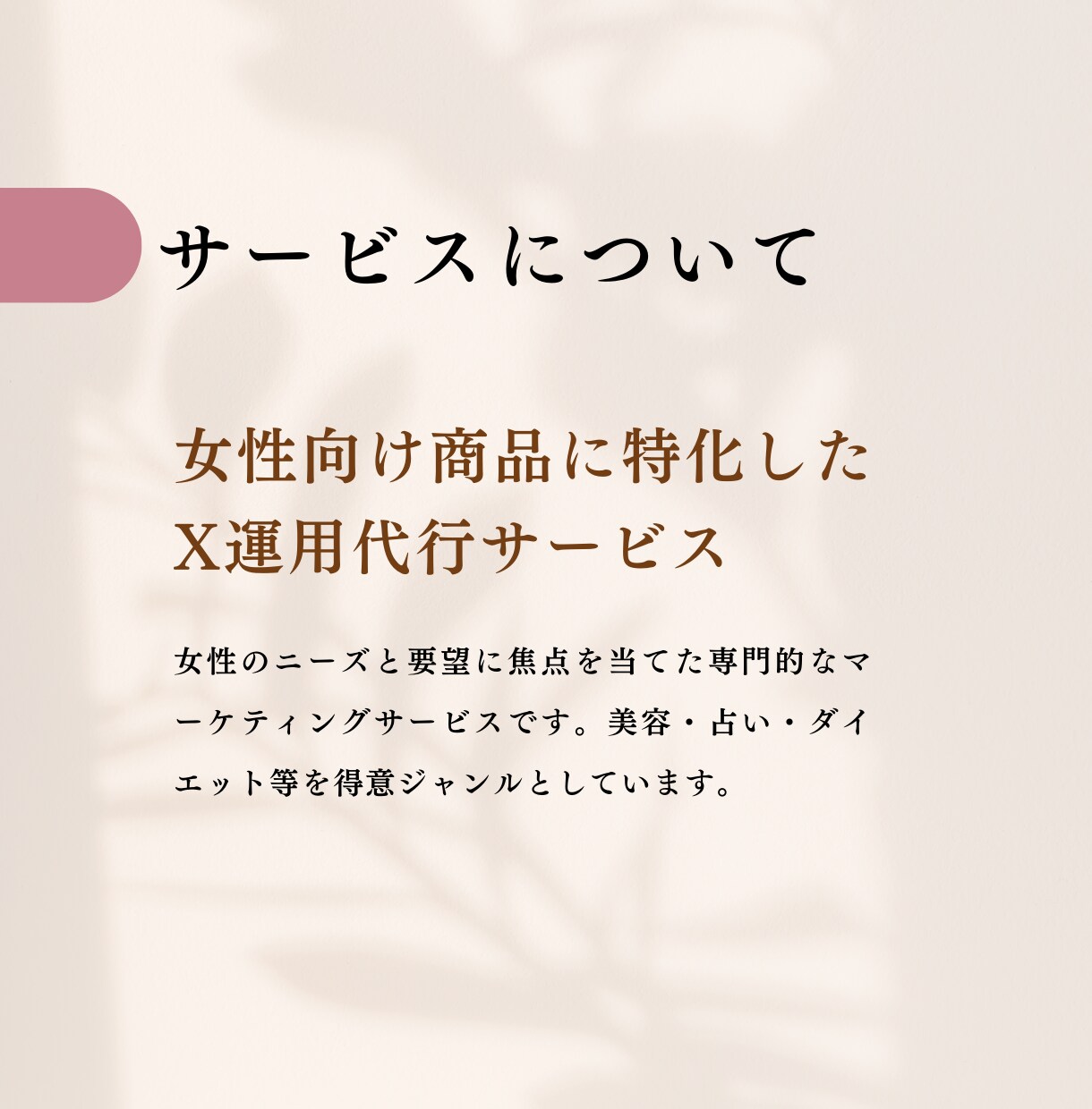 女性向け・X（Twitter）運用サポートします 初めてのX(旧Twitter)の運用にオススメです！ イメージ2