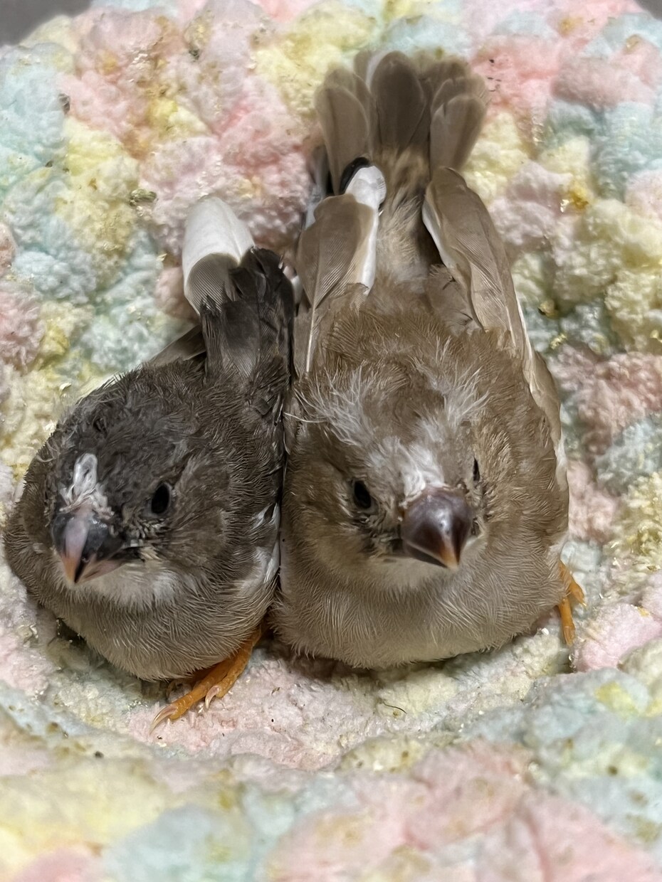 どんなお話も寄り添ってお聴きします 誰にも話せない、悩み事や自慢話を貴方に寄り添います イメージ5