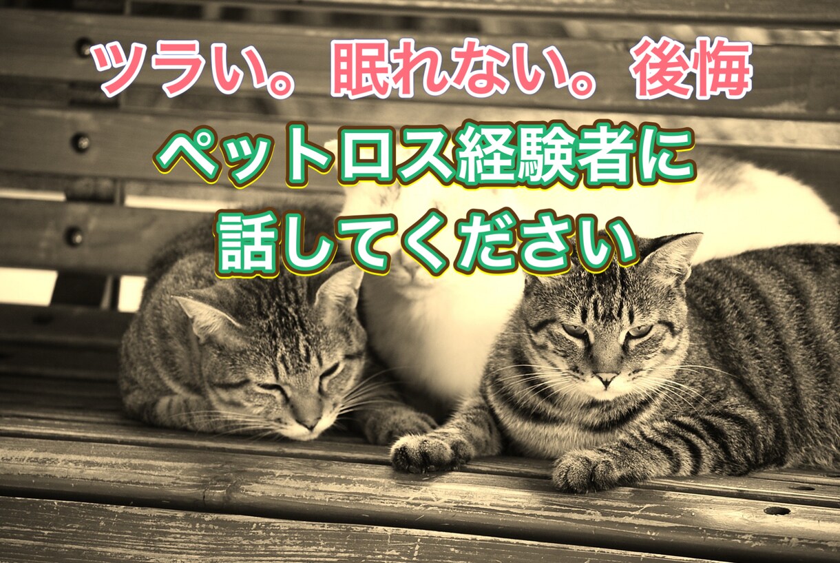 ペットロスに向き合い乗り越えるためのサポートします 経験者だからできる共感と癒しで、思い出を生きる力に変える イメージ1