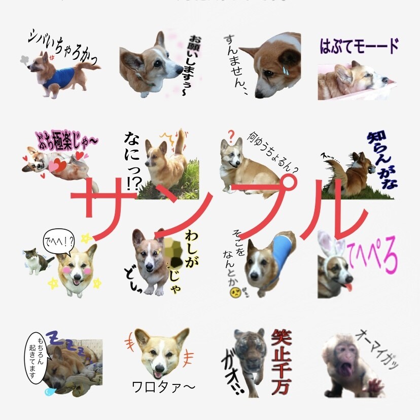 ペットLINEスタンプ制作致します ご依頼者様のペットさんの画像からスタンプ制作させて頂きます イメージ2