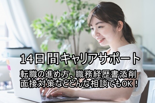 IT業界を知り尽くした人事が14日間相談にのります 業界未経験で転職したい、転職するか迷っている方も相談OK！ イメージ1