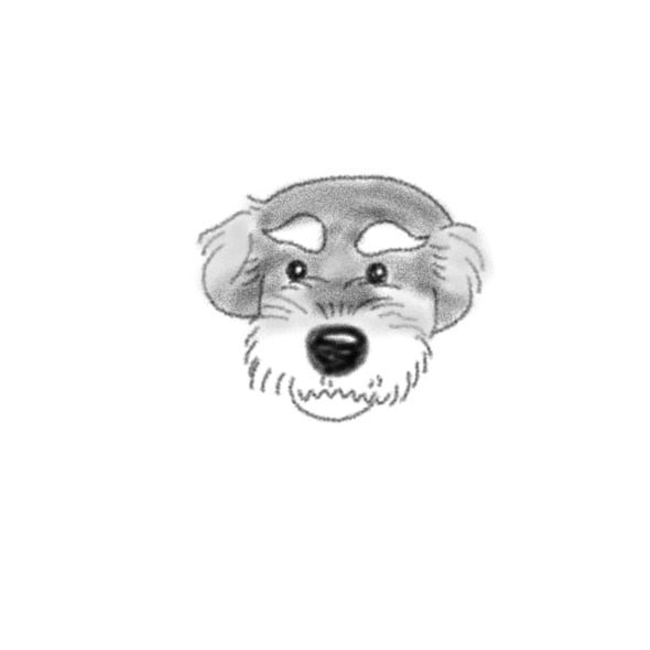 愛犬のイラストを描きます 世界一可愛いあなたの愛犬イラスト柔らかいタッチのイラスト イメージ6