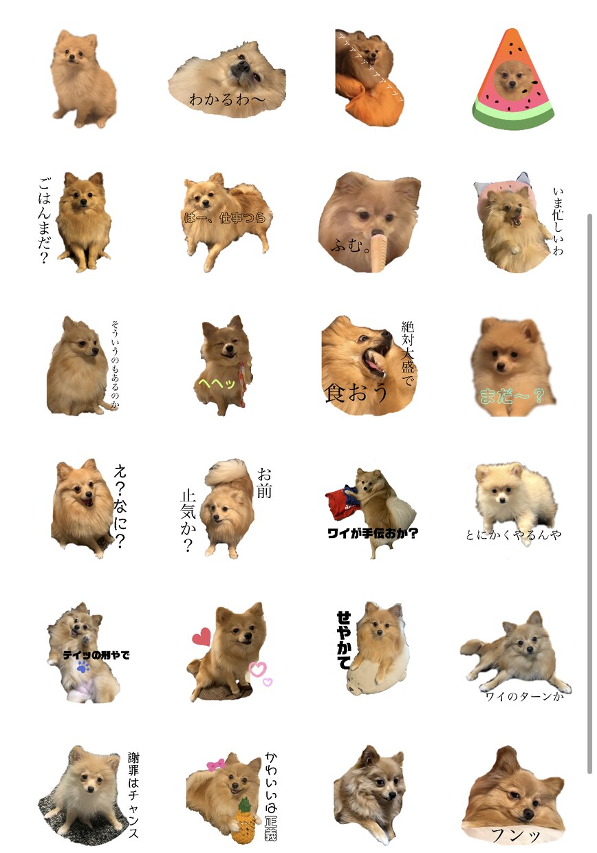 ペットやお子様の写真でLINEスタンプお作りします お気に入りのお写真からスタンプをお作りします！ イメージ4