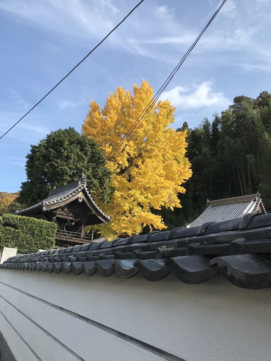 不安について優しくお話します 不安、皆ありますよね、一緒に不安をゆっくり整理しましょう イメージ1