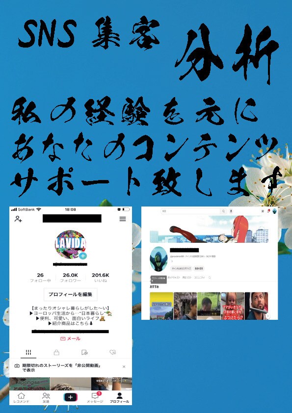 0から始まる会社の土台作り・集客サポート致します 名刺制作/チラシ,ホームぺージ作成/動画編集,TikTok/ イメージ9