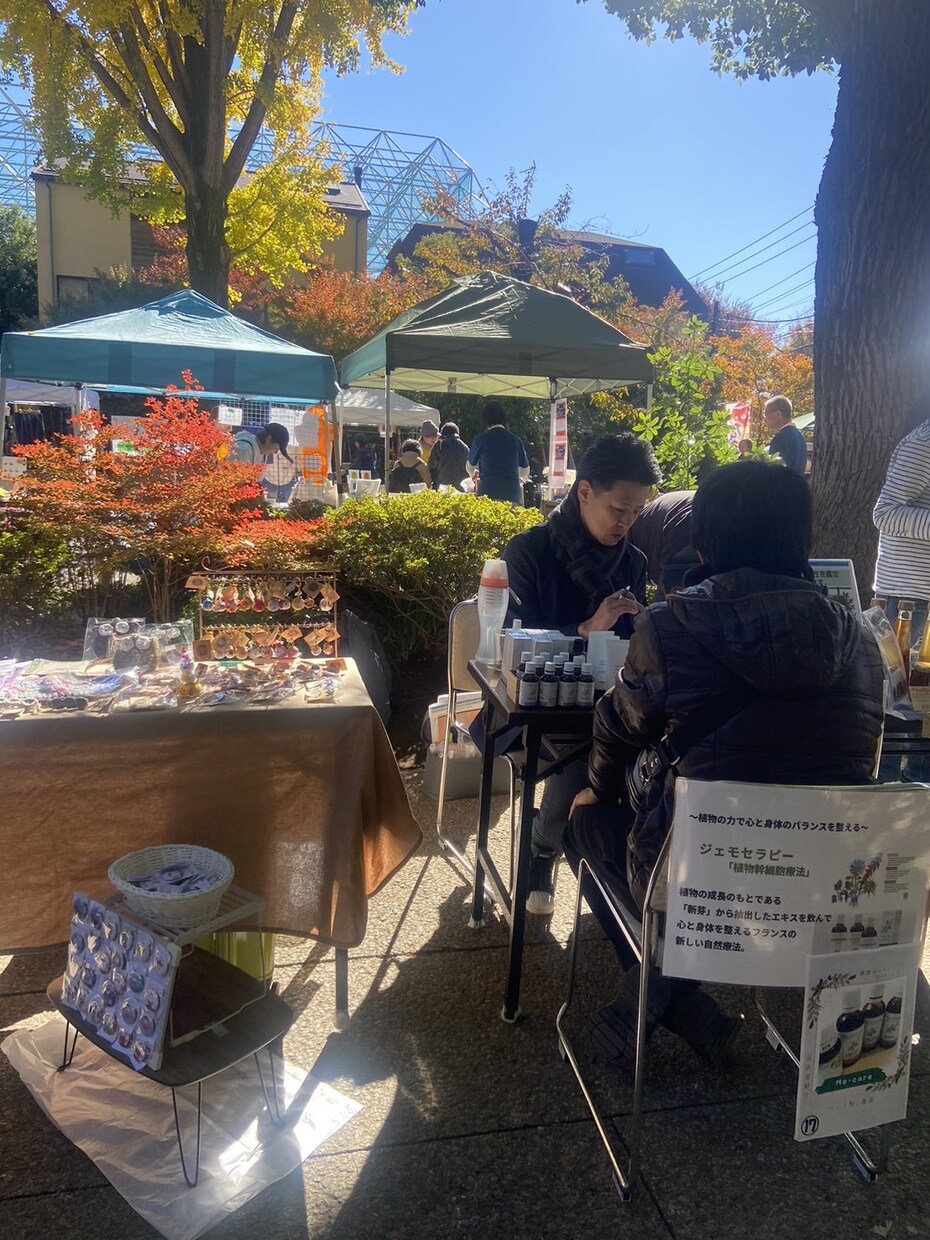 500円で来年度運氣鑑定書を進呈（月毎）します 生年月日から、来年の運氣バイオリズムカレンダーを進呈 イメージ4