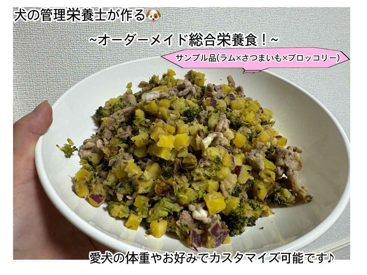 犬の管理栄養士が愛犬のオリジナルレシピを考えます 体重や好みに合わせて、世界に一つのレシピをお作りします♪ イメージ1