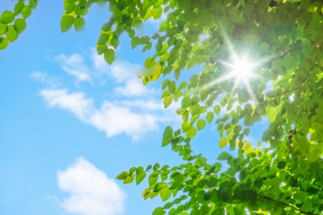 雑談から深いお悩みまで☆なんでも優しくお聞きします 批判や評価は致しません。ただ話を聞いてほしいときに イメージ2