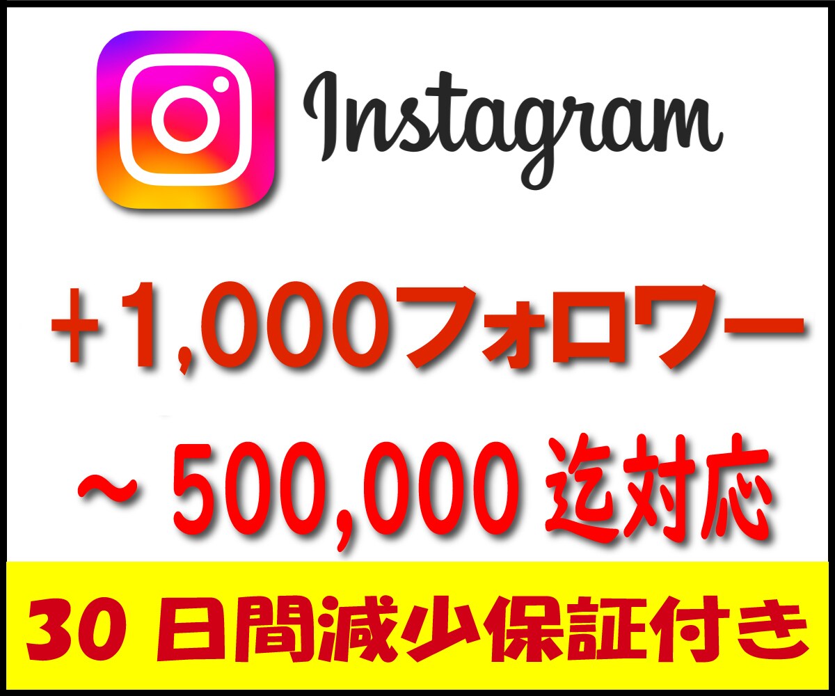 Instagramフォロワー1,000人増加します ⚡ココナラ最速・最安値を目指します⚡30日間減少保証付き⚡ イメージ1