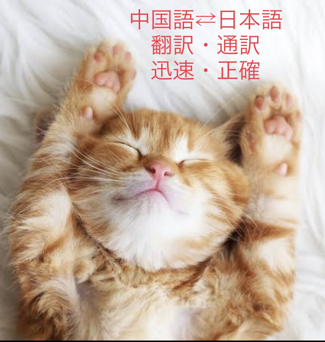 ネイティブチェック 中国語⇄日本語に翻訳します 【迅速対応】外大出身！実務経験！正確に、丁寧に、綺麗に！ イメージ1