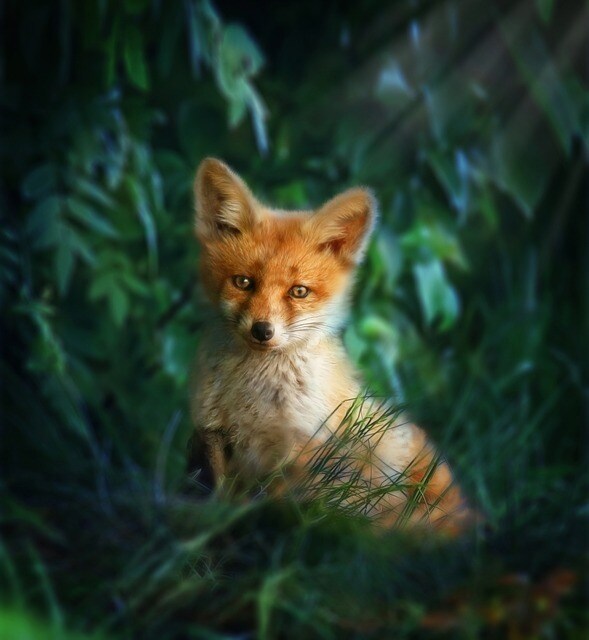 すっきりするまで頑張ります この時代だからこそ自分を大切にしませんか？ イメージ1