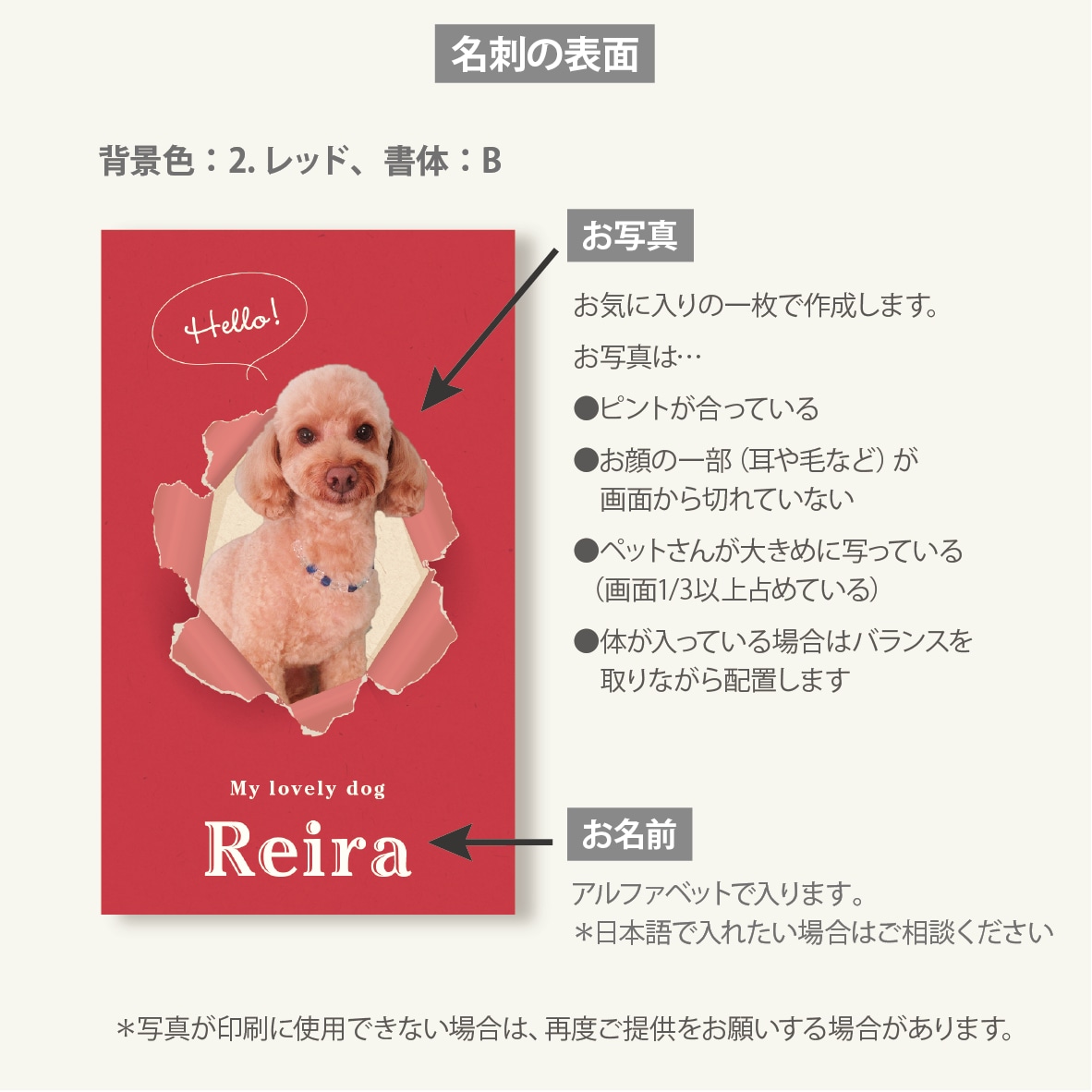 写真入ペット名刺 うちの子らしい色＆書体で作ります スマホ撮影でOK! デザイナーへのセミオーダー100枚送料込 イメージ2