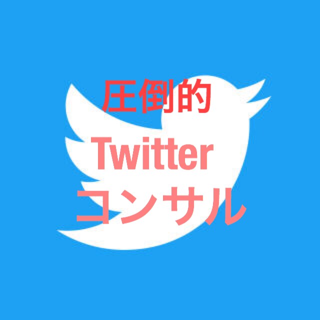 徹底的にTwitterコンサル致します 1日2ツイート以下でフォロワー激増⁉︎SNS集客の極意★ イメージ1