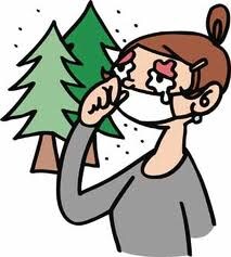 費用無し！薬無し！安全で健康的に花粉症を治す方法 イメージ1