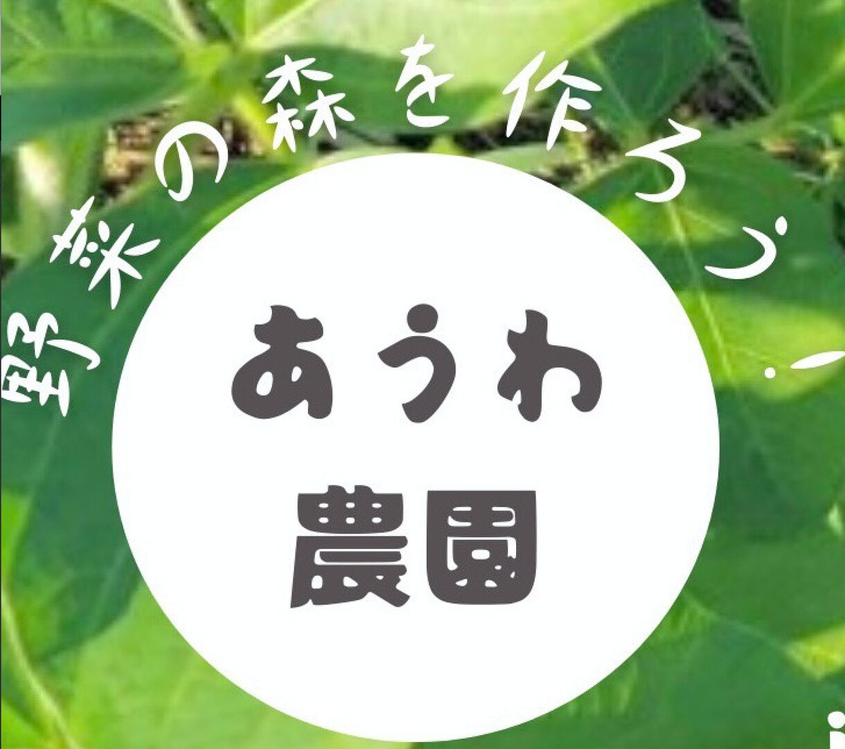 様々なお悩み事お話聞きます 話をしてデトックスして、スッキリした気持ちになる イメージ1