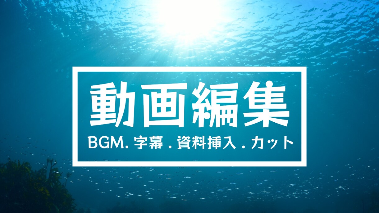 bgm、字幕、カット作業、簡単な資料挿入等します 主に字幕とbgm、カット、簡単な資料挿入作業になります イメージ1
