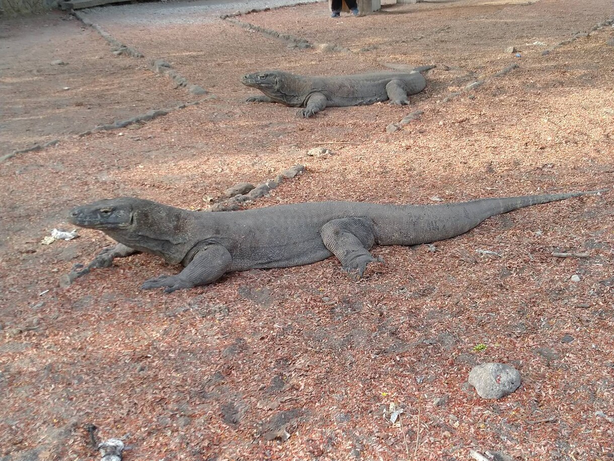 旅ブロガーが世界一周や長期海外旅行の相談に乗ります 長期で海外旅行に行きたいけど…不安。そんな不安や悩みを解決！ イメージ8
