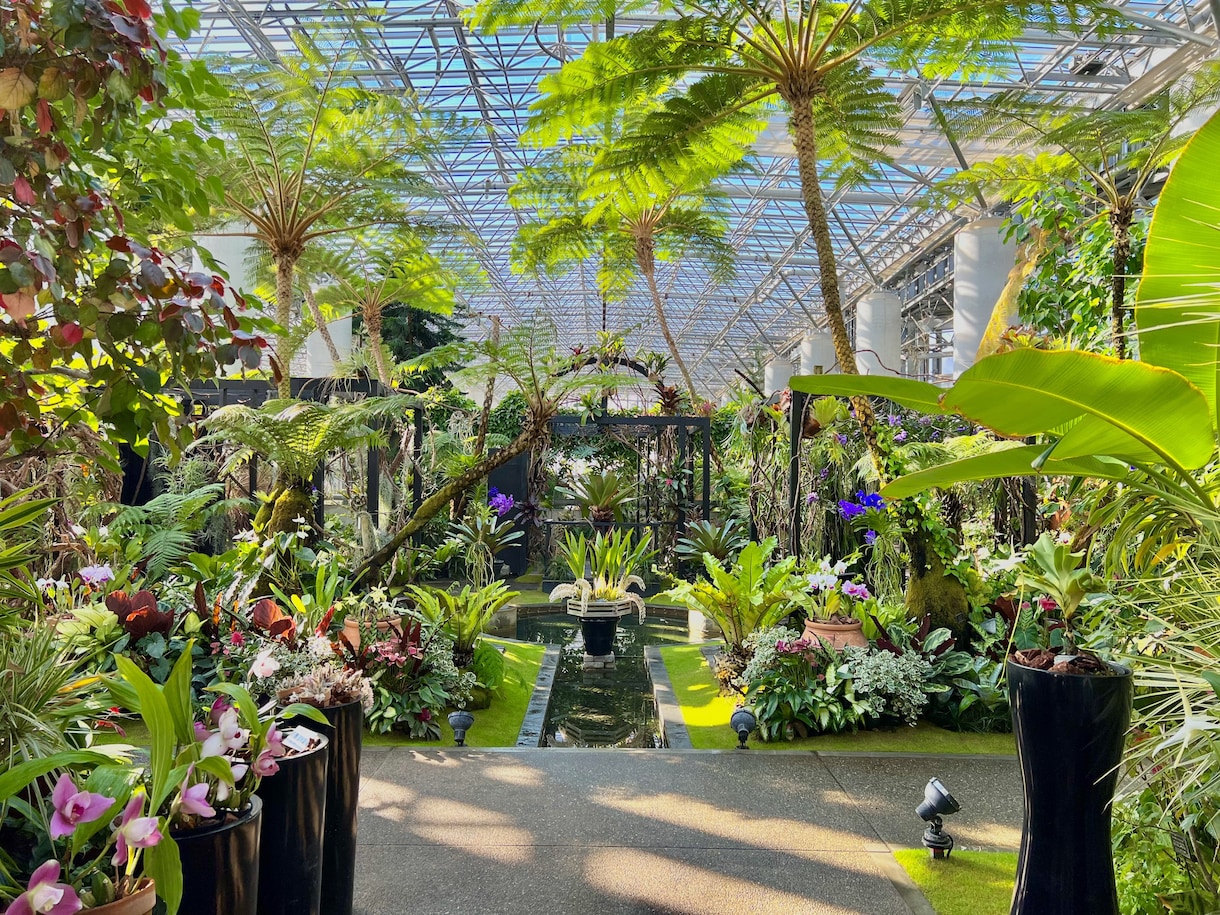 綺麗な日本の写真を提供させて頂きます Japanese picture イメージ1