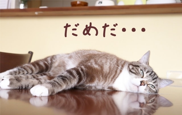 やらかしちまった失敗、お聞き致します 小さな事からやばい内容まで、秘密厳守でお聞き致します。 イメージ7
