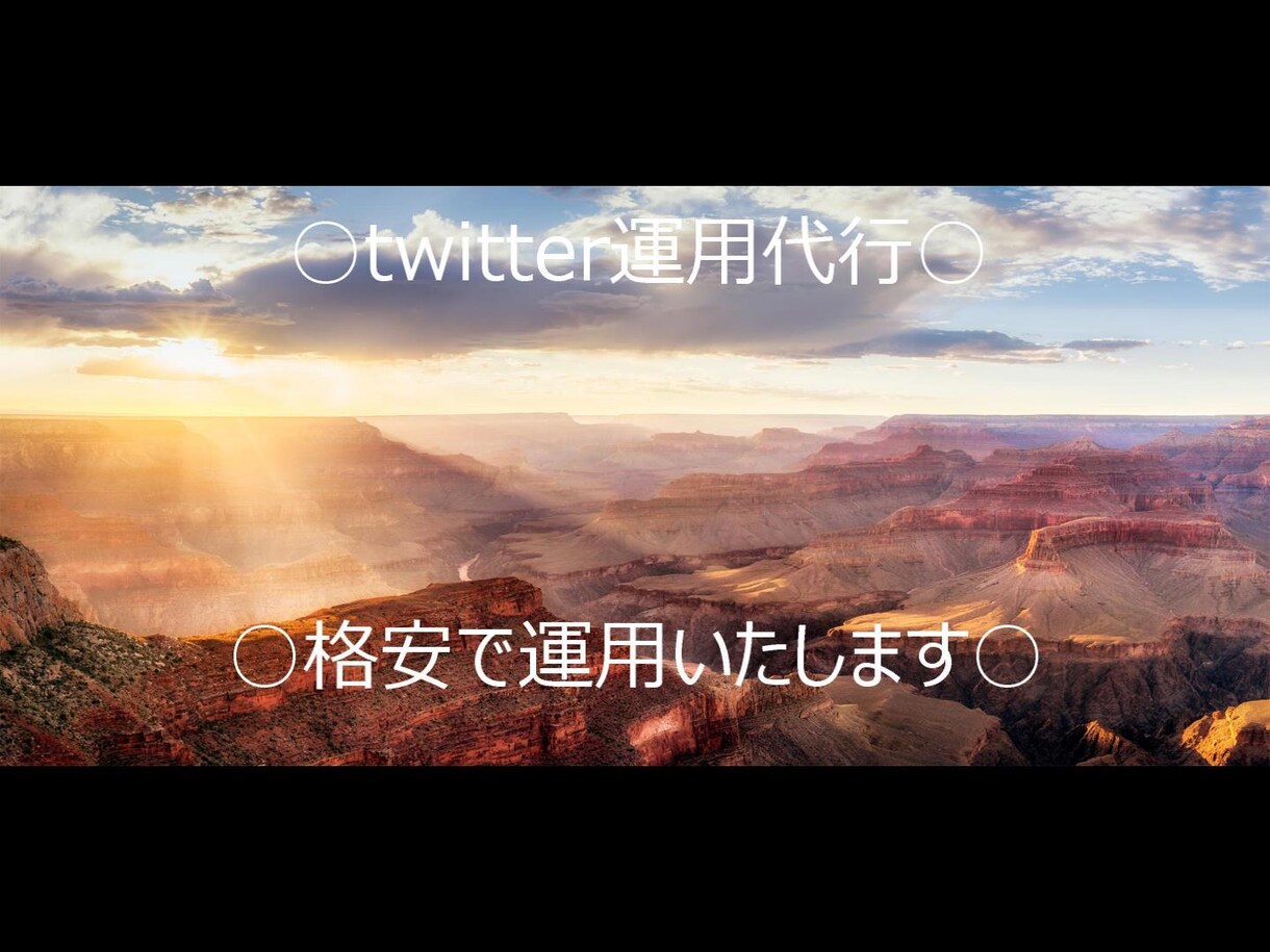 企業さん！！格安でtwitter運用いたします ターゲットに【いいね】【RT】等こちらで代行します！ イメージ1