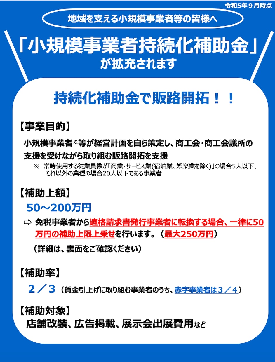 小規模事業者持続化補助金の事業計画書を作成します 採択率100％の中小企業診断士がサポートします！ イメージ2