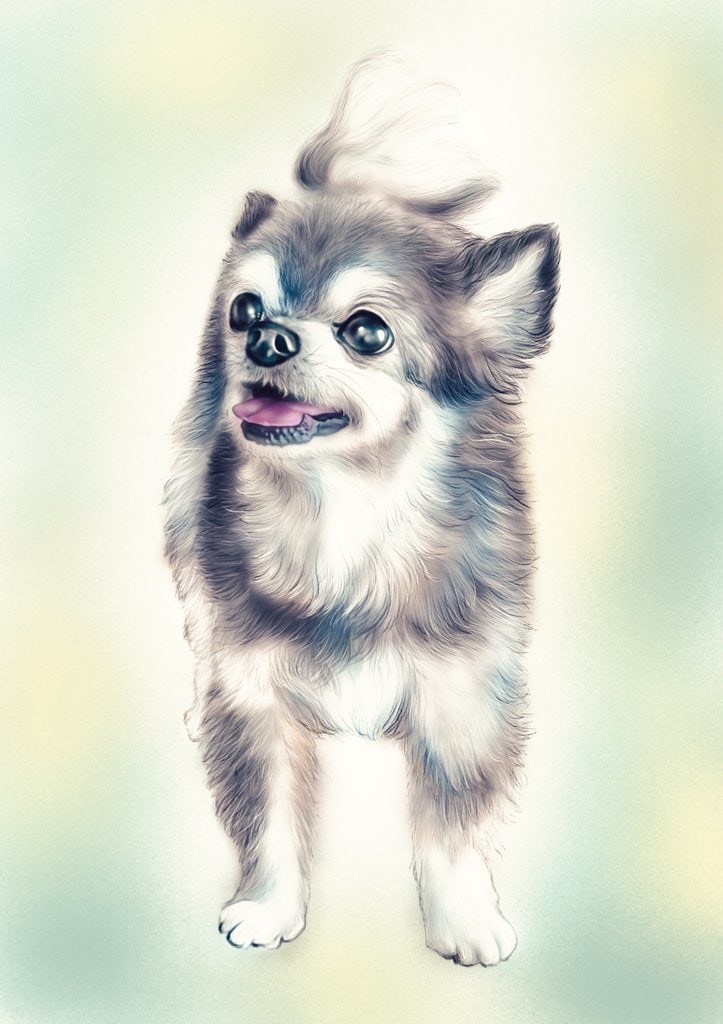 あなたのペットをデジタルイラストにします 柔らかくあたたかみのあるリアルな質感に仕上げます イメージ2