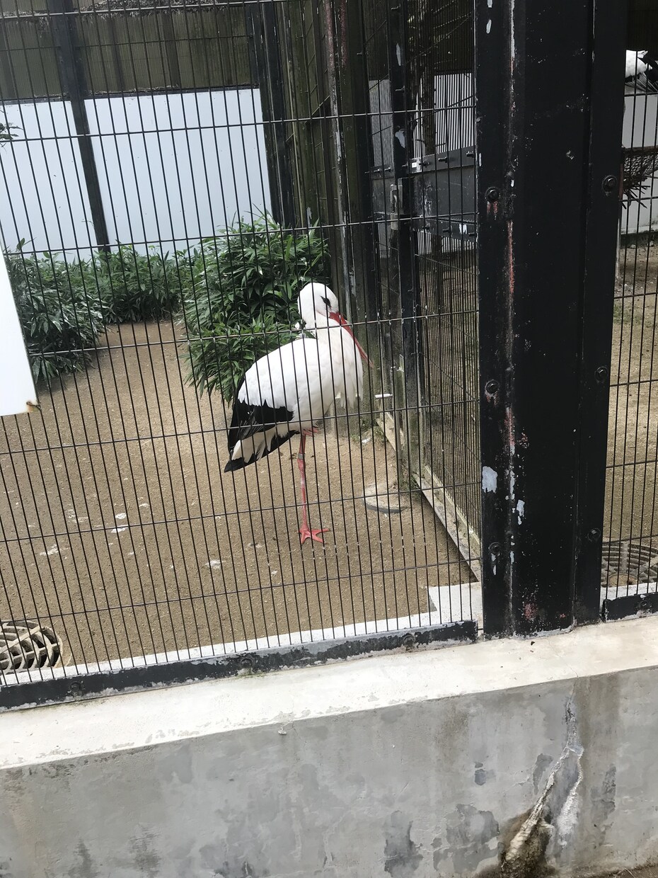 コロナ疲れの皆さん、愚痴、悩み、相談聞きます 現役鳶職人がお話し聞きます。5分からでもどうぞ！！！ イメージ10