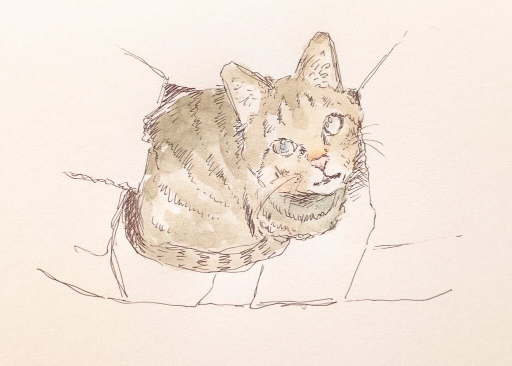 ペットのイラストお描きします ペンと水彩でオシャレなペットイラストを制作します！ イメージ2