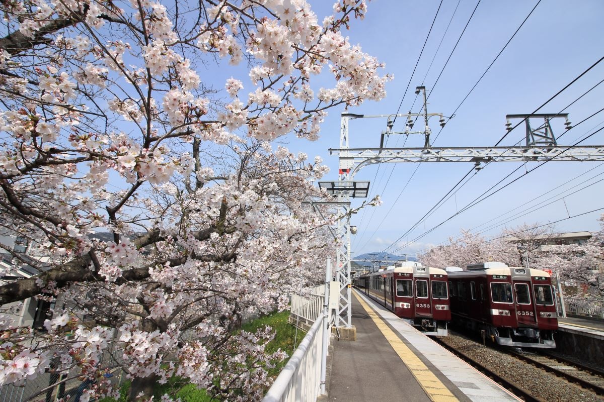 鉄道旅行の相談に乗ります 初心者の方のご相談喜んで受け付けます! イメージ5