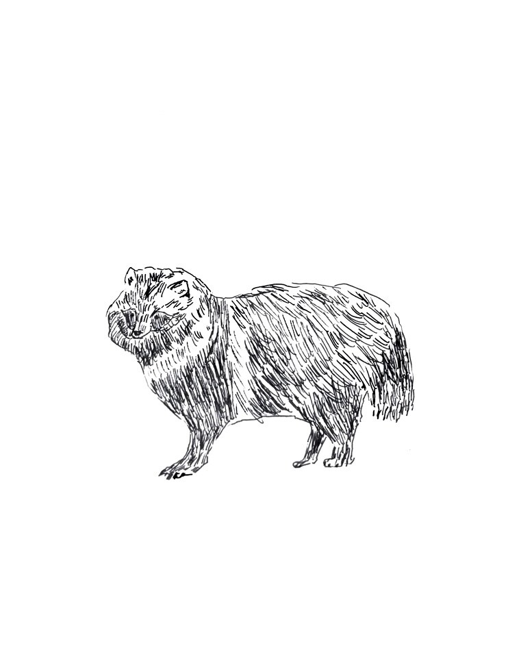 手描き風ゆる〜いもふもふ動物の絵を描きます アイコン、挿絵などに使えます◯ 商用利用ご相談ください イメージ4