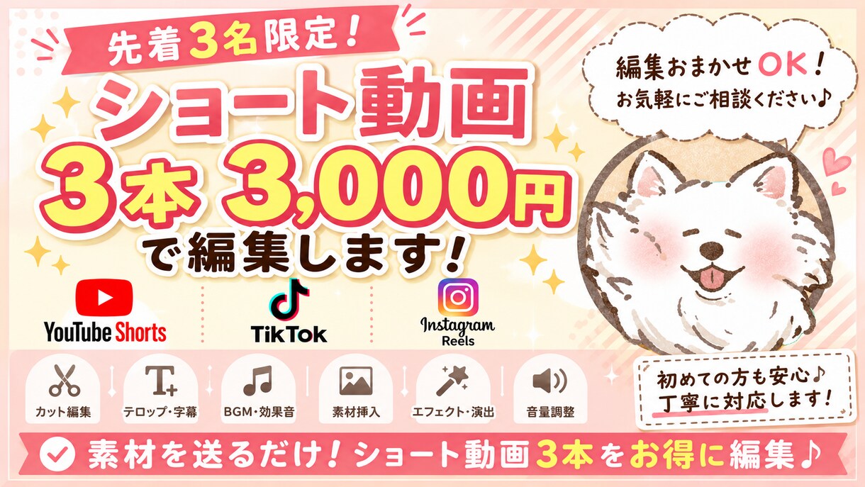 先着3名！ショート動画3本3000円で編集します 1本1000円！素材を送るだけで簡単依頼 イメージ1