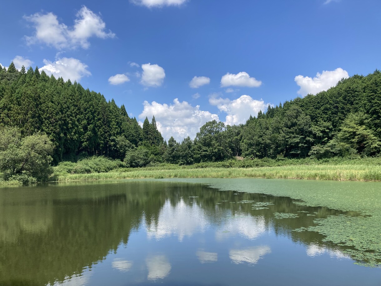 資格あり元ホステスアラフィフがお話しお伺いします 他人だからこそ話せる事、他人にしか話せない事ありますよね イメージ1