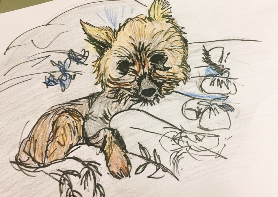 動物イラスト描きます 手描きでポップに可愛く仕上げます イメージ2