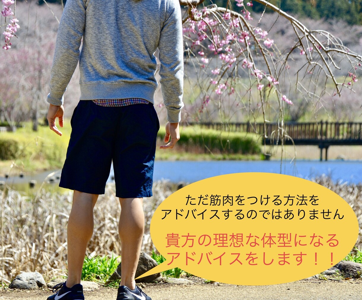 食事法とトレーニング法のアドバイスをします あなたに合ったアドバイスで、効率良く目標へと近づこう イメージ2