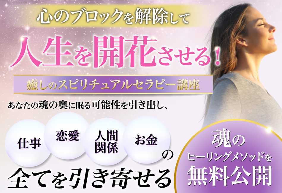 パッと見て魅力を伝えるFV・バナーを制作します 売れるに特化したセールスデザインで商品の魅力を最大限に イメージ4