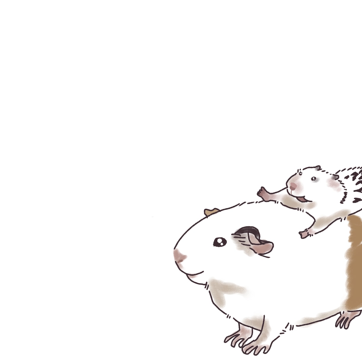 ゆるかわほっこりかわいいペットのイラスト描きます バラバラの写真からぎゅっと集まった1枚のイラストに。 イメージ5